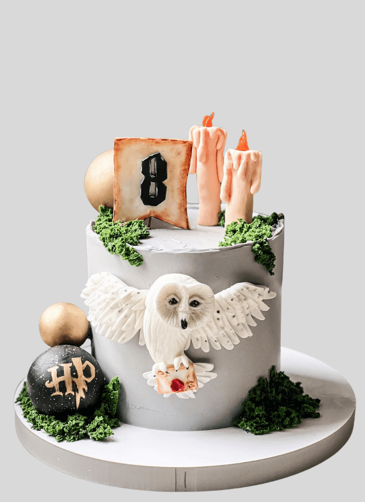 Stunning Hedwig Cake