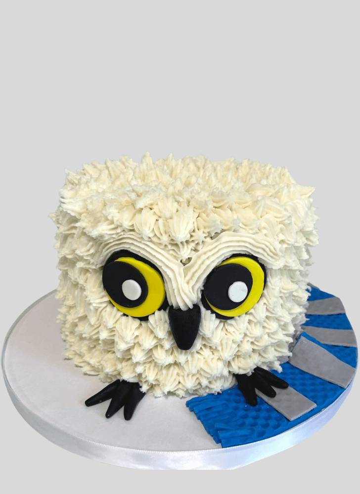 Superb Hedwig Cake