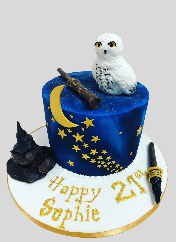 Wonderful Hedwig Cake Design