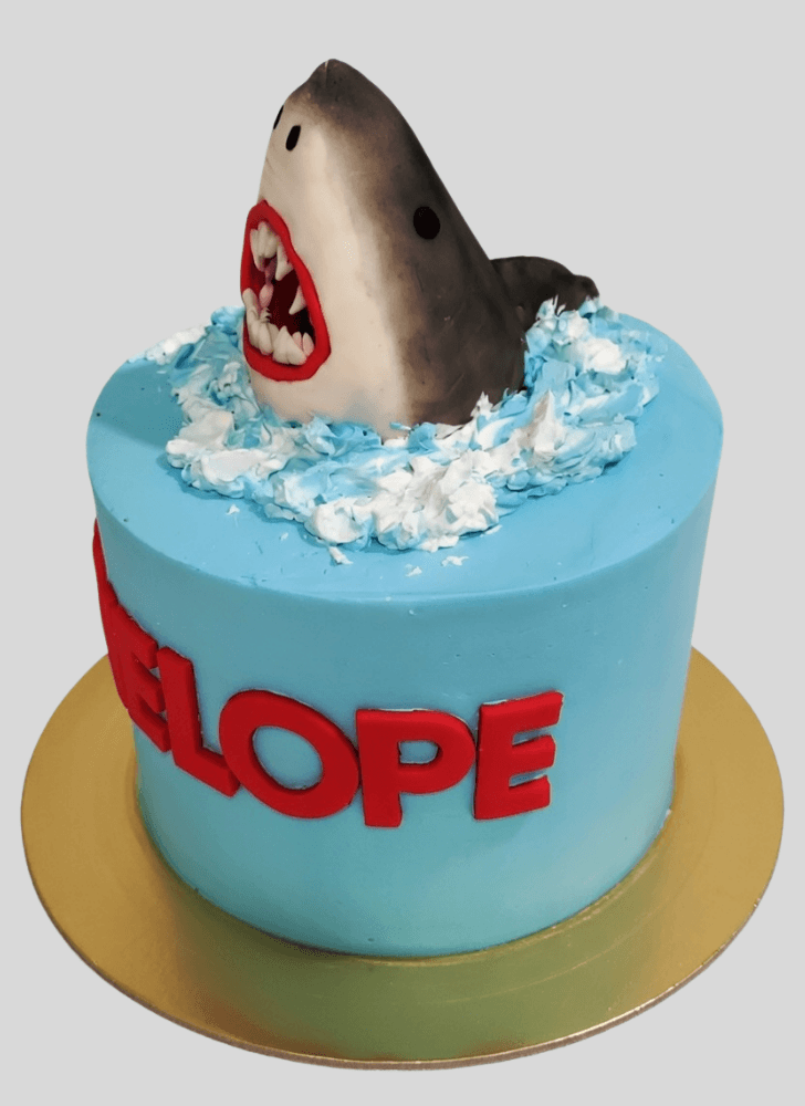 Handsome Jaws Cake