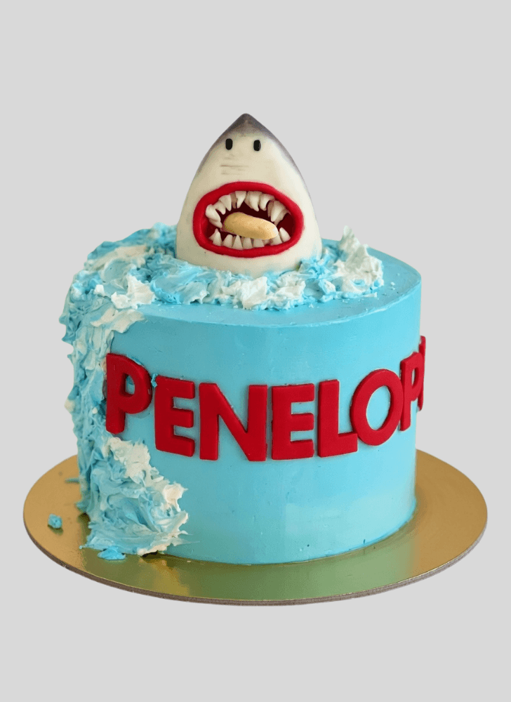 Magnetic Jaws Cake