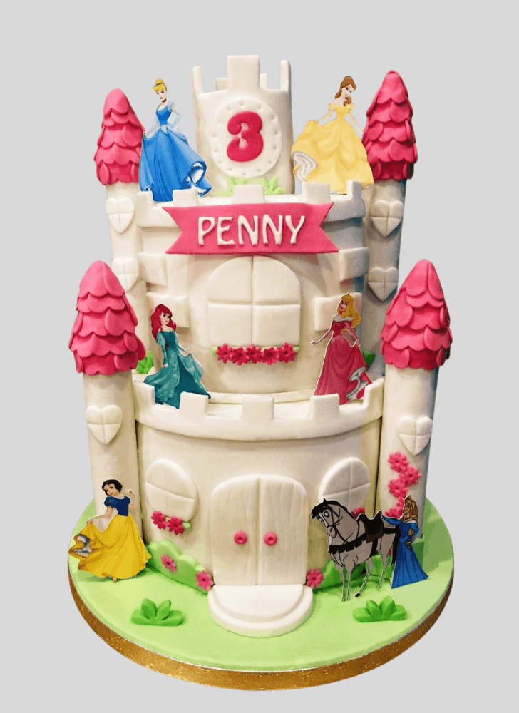 Comely Princess Cake