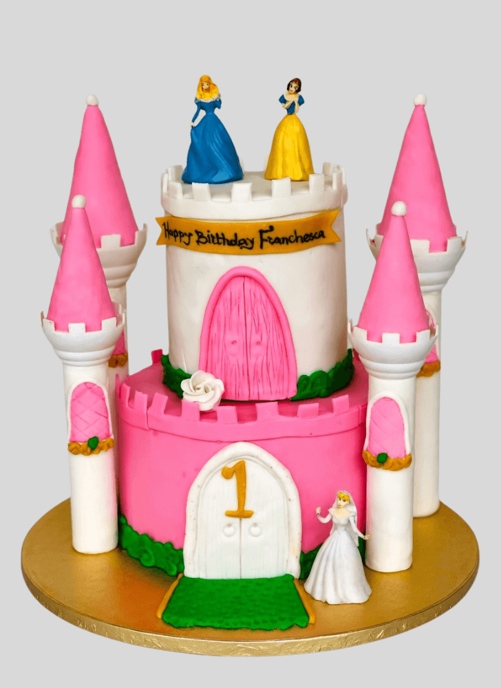 Fetching Princess Cake