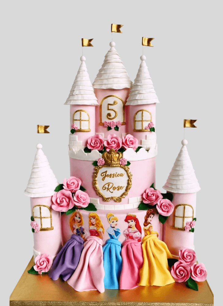 Magnetic Princess Cake