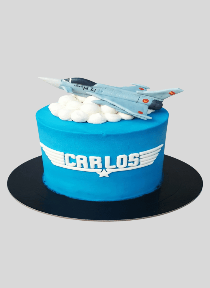 Divine Top Gun Cake