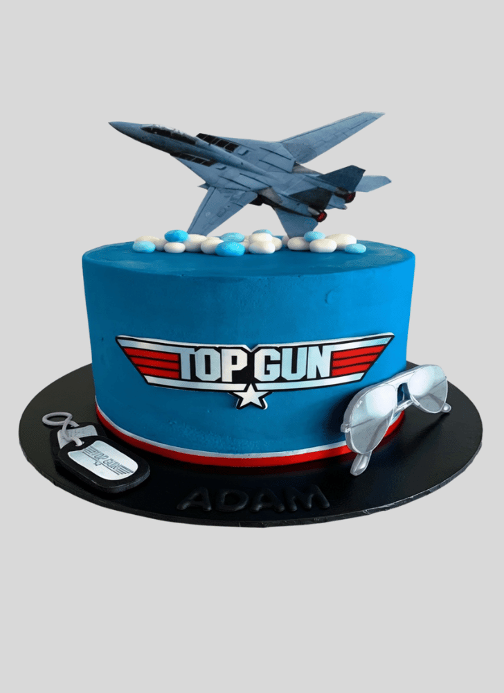 Elegant Top Gun Cake