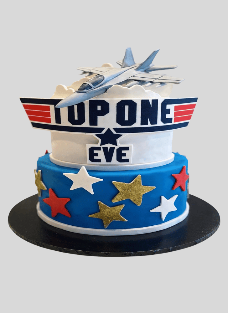 Fine Top Gun Cake