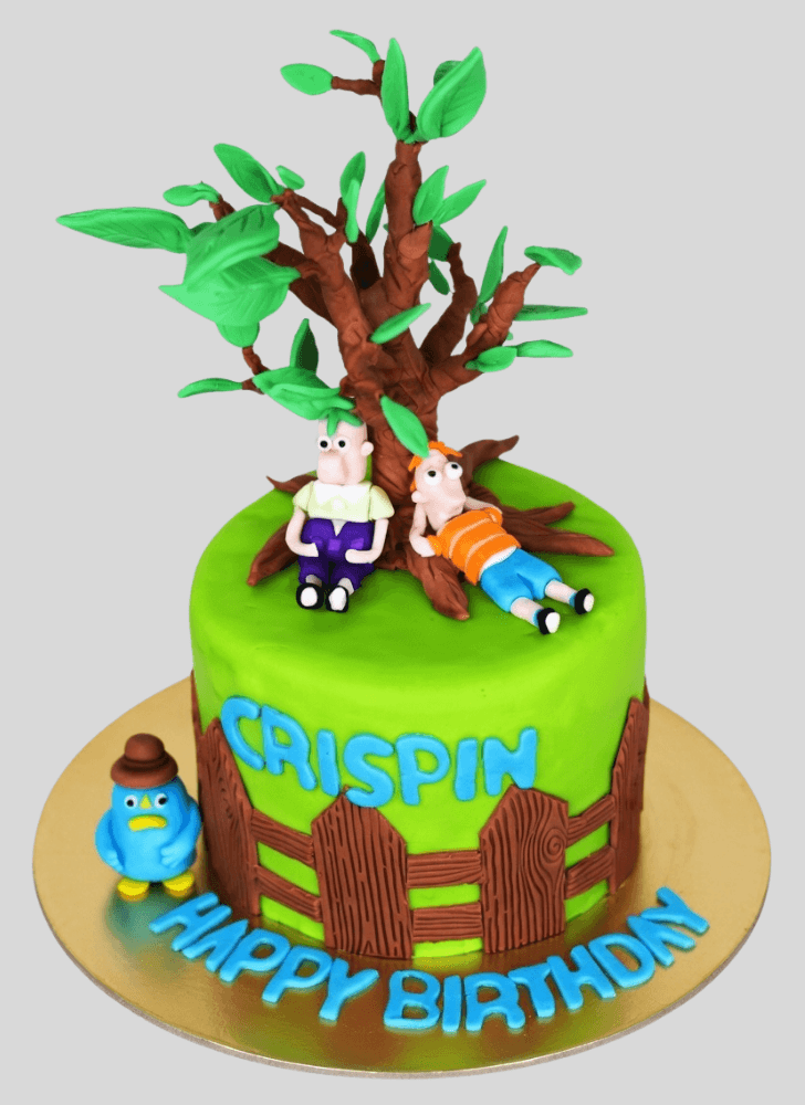 Bewitching Phineas and Ferb Cake