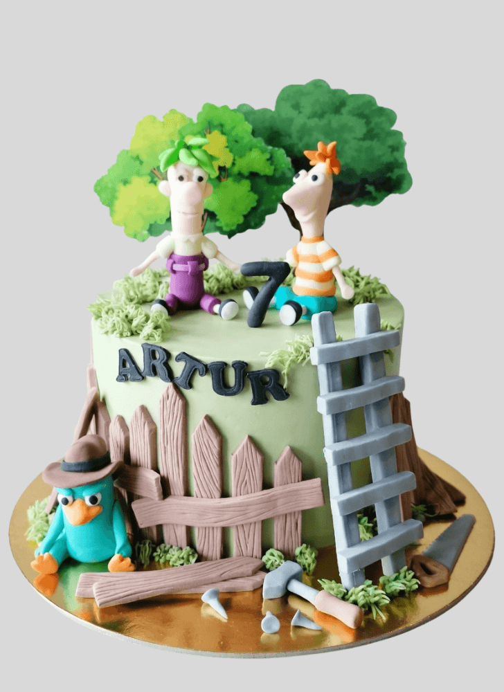 Marvelous Phineas and Ferb Cake