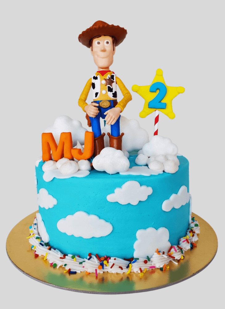 Comely Woody Cake