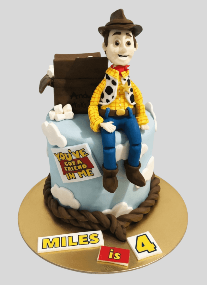 Magnetic Woody Cake