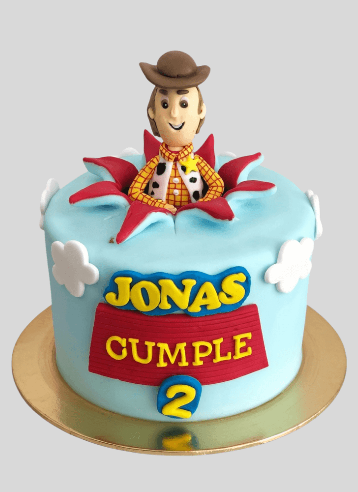 Pleasing Woody Cake