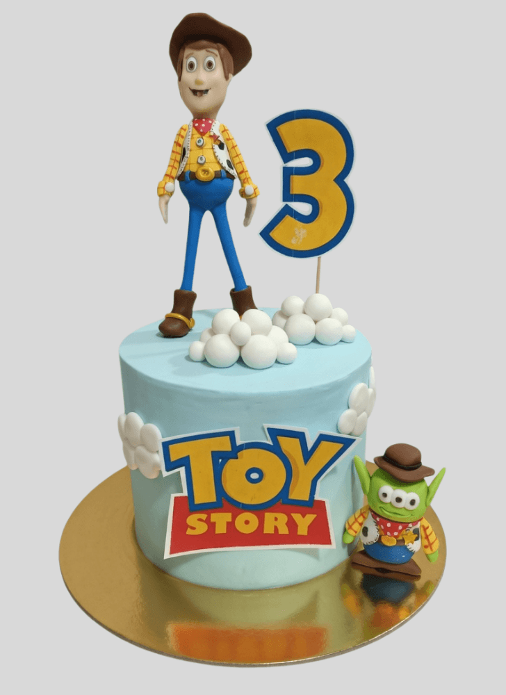 Shapely Woody Cake