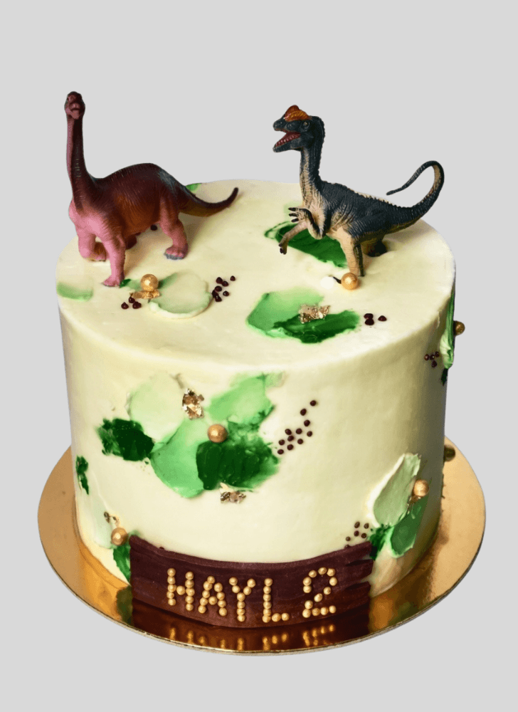Fair Dinosaur Cake