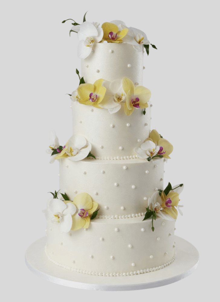 Refined Amazing Cake