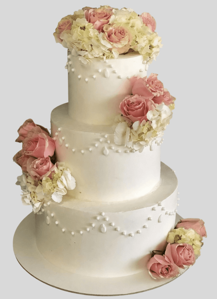 Slightly Amazing Cake
