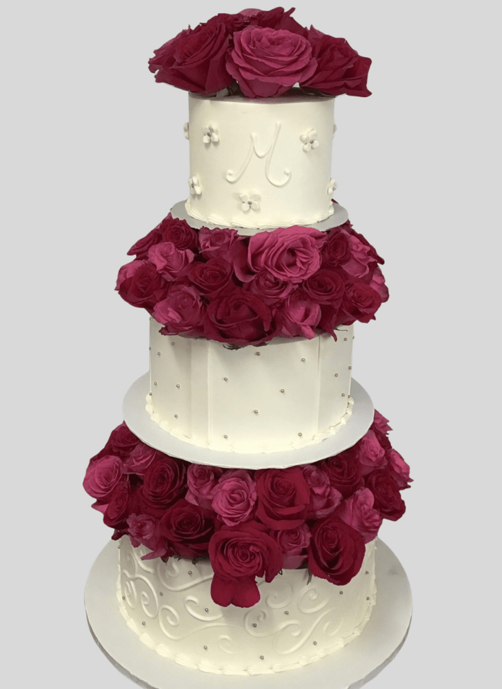 Splendid Amazing Cake