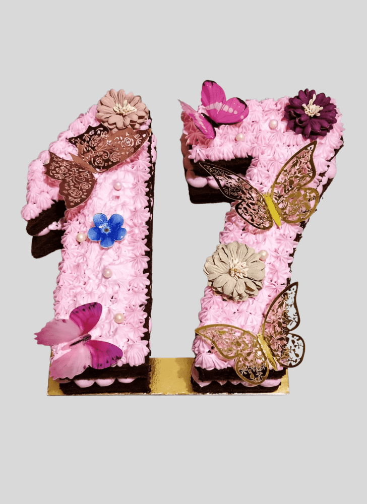 Refined Number Cake