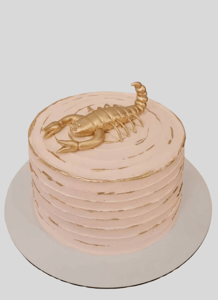 Slightly Scorpion Cake