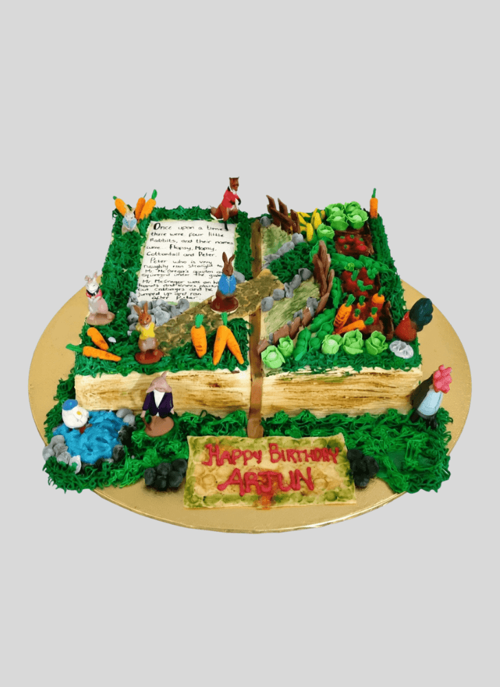 Handsome Story Book Cake