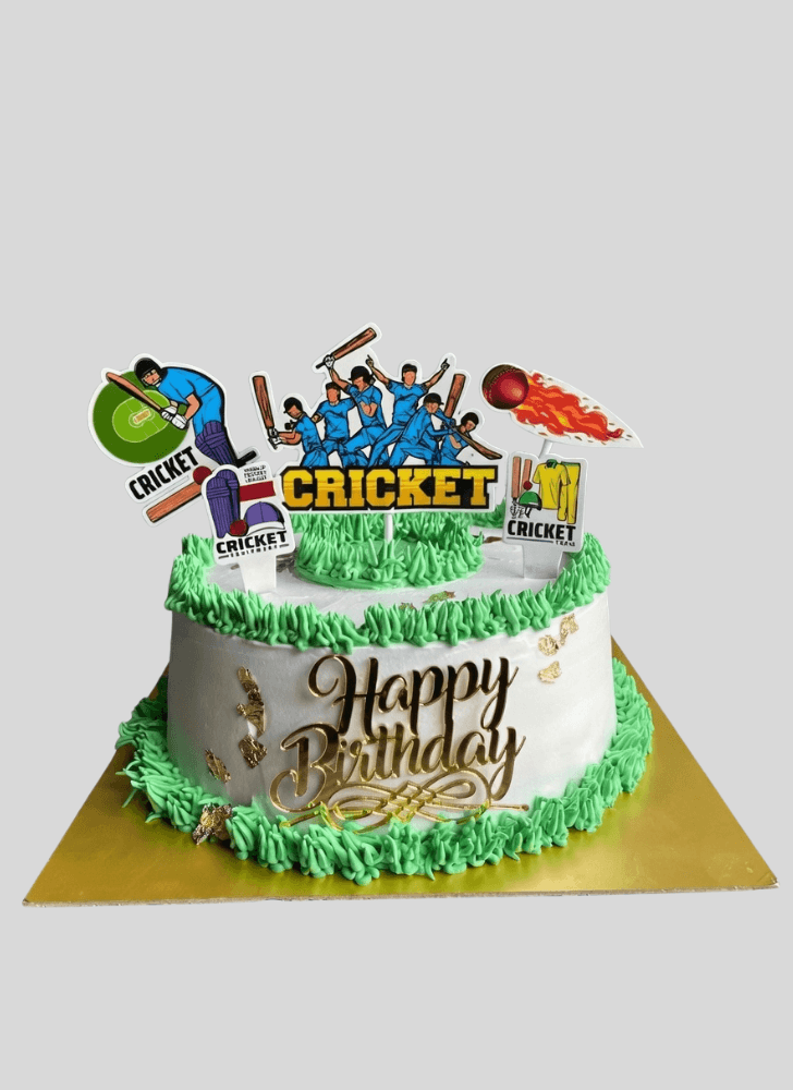Admirable Cricket Cake Design