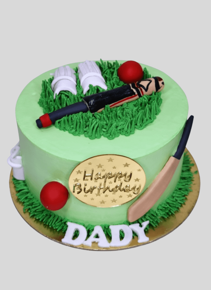 Beauteous Cricket Cake
