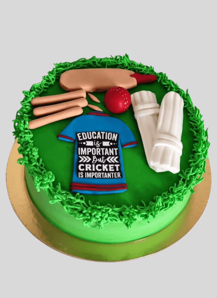 Dazzling Cricket Cake