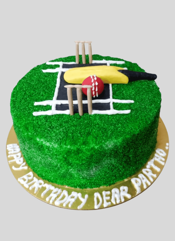 Enticing Cricket Cake