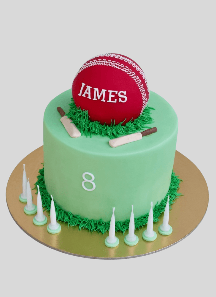 Excellent Cricket Cake