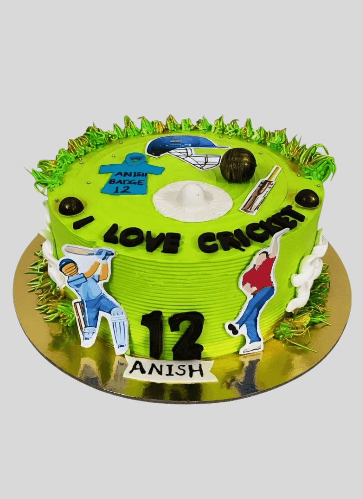 Fair Cricket Cake