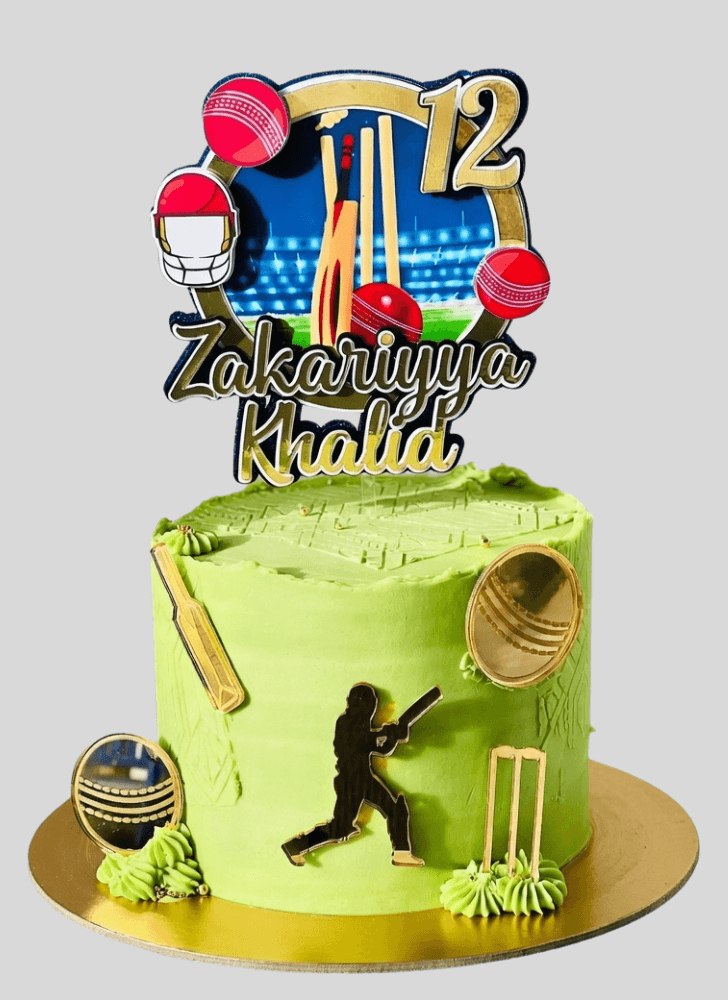 Good Looking Cricket Cake