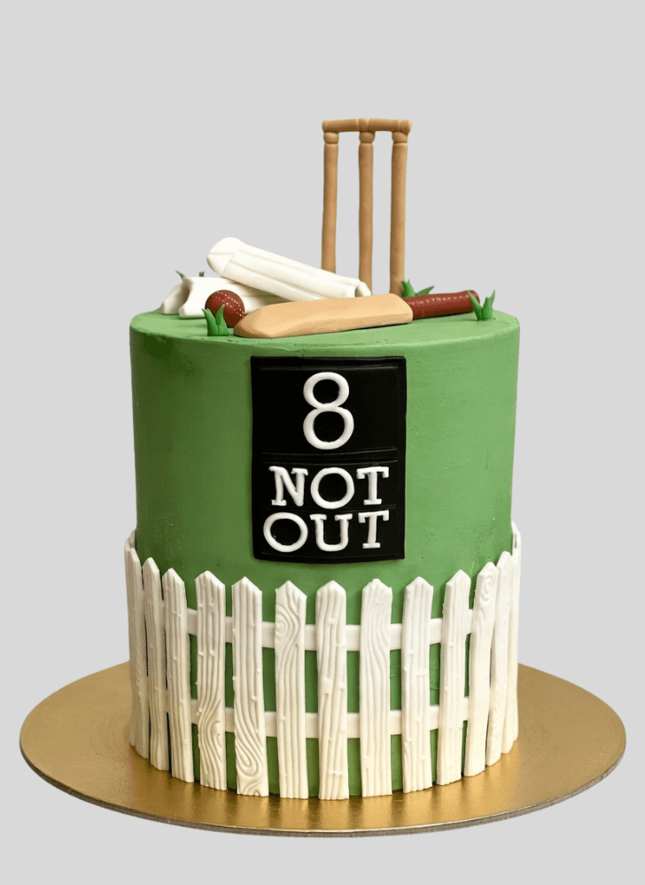 Handsome Cricket Cake