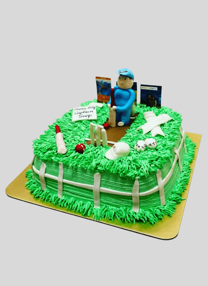 Lovely Cricket Cake Design