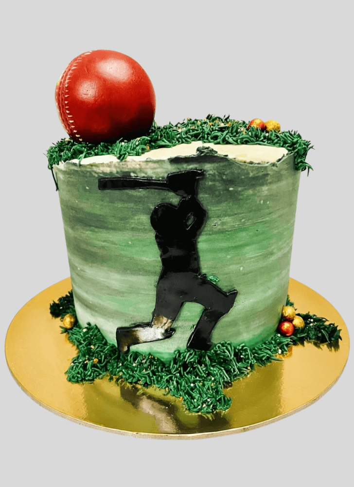 Magnetic Cricket Cake
