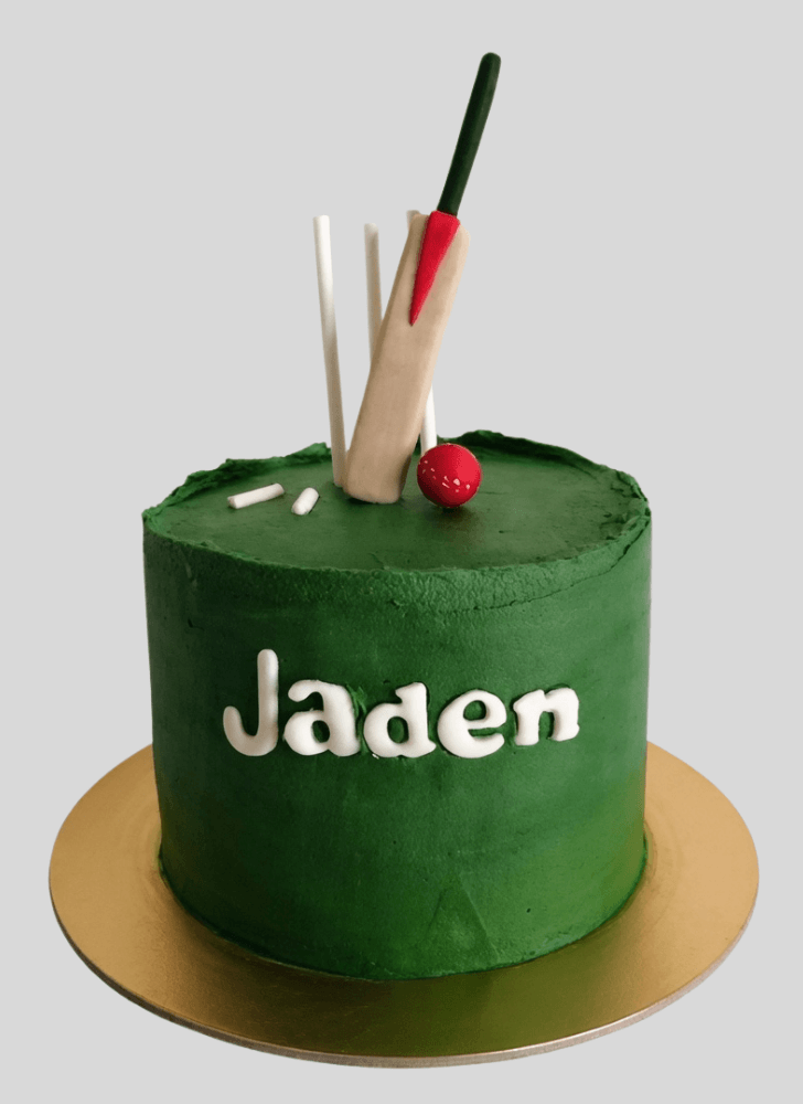 Resplendent Cricket Cake