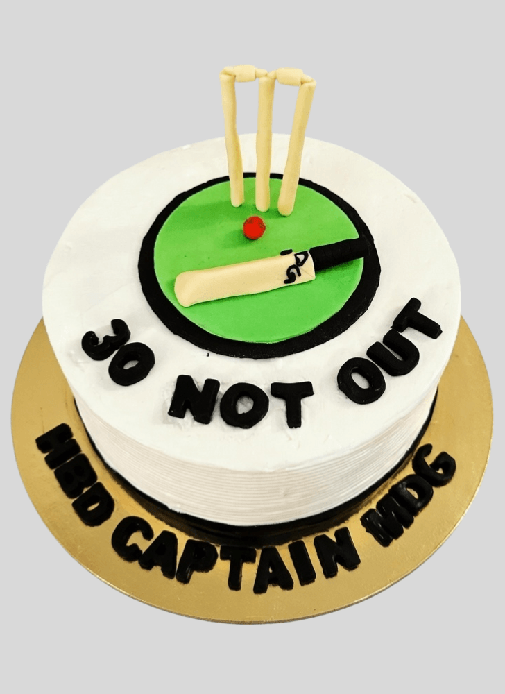 Slightly Cricket Cake