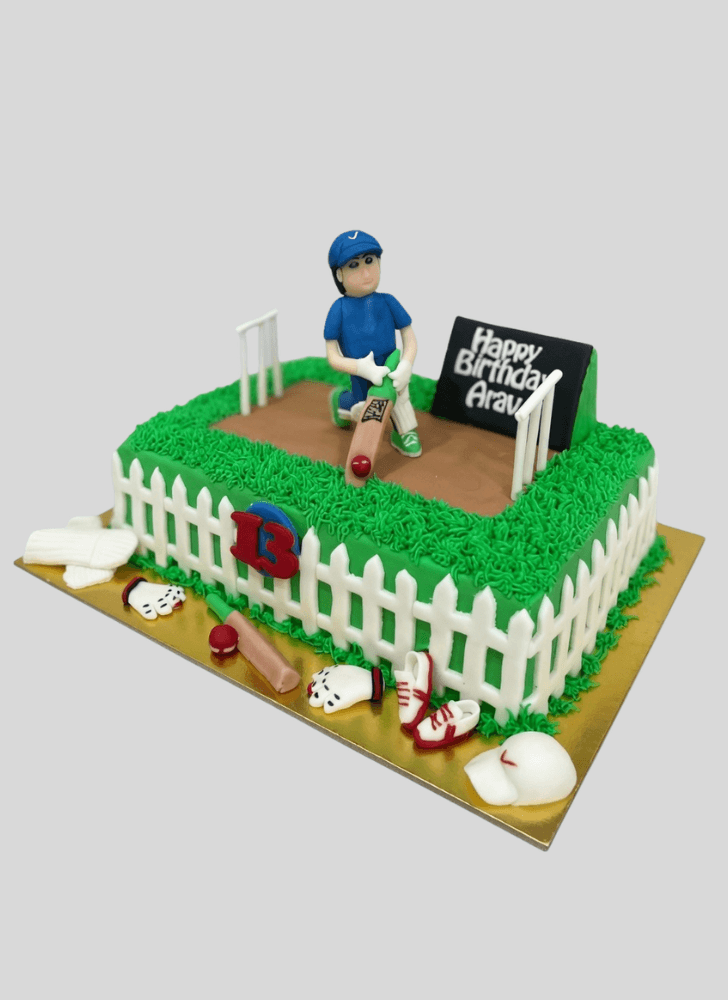Stunning Cricket Cake