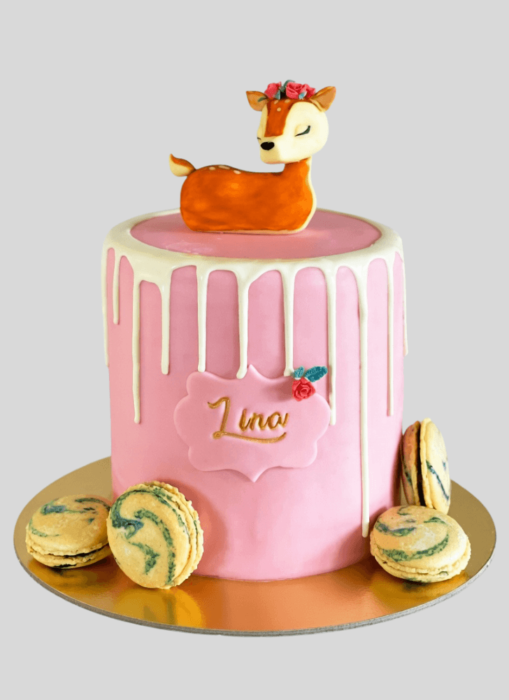 Magnetic Fawn Cake