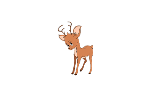 Fawn
