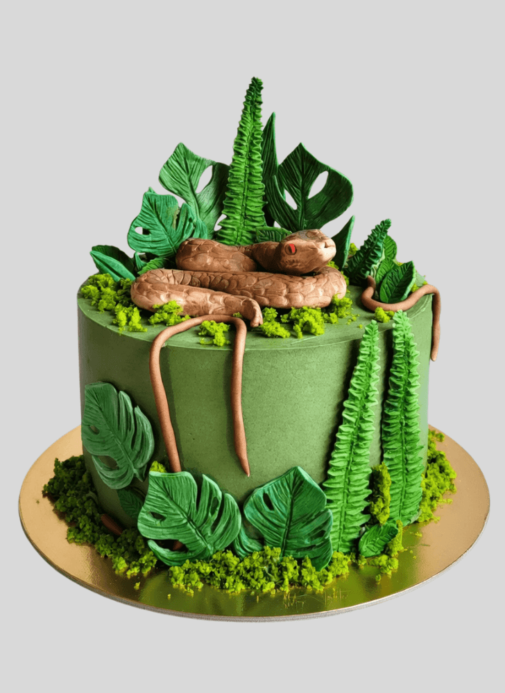 Magnetic Green Cake