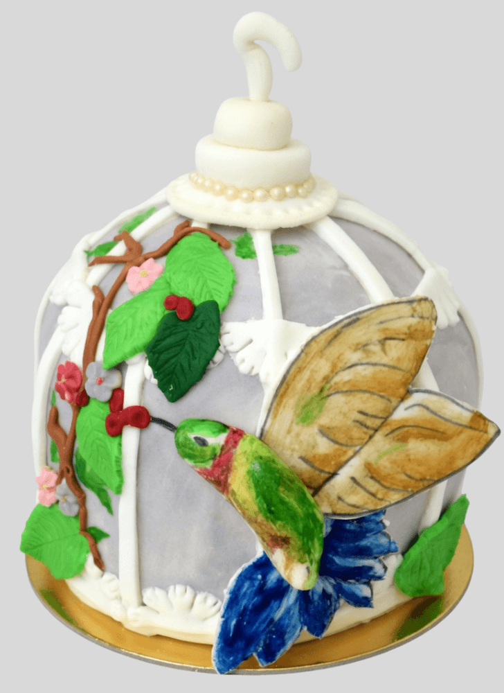 Resplendent Humming Bird Cake