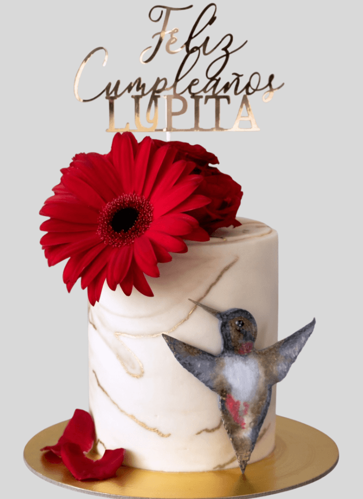 Slightly Humming Bird Cake