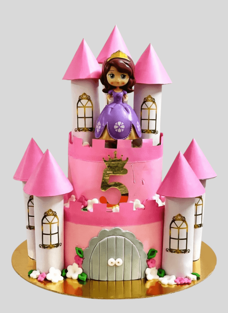 Resplendent Princess Castle Cake