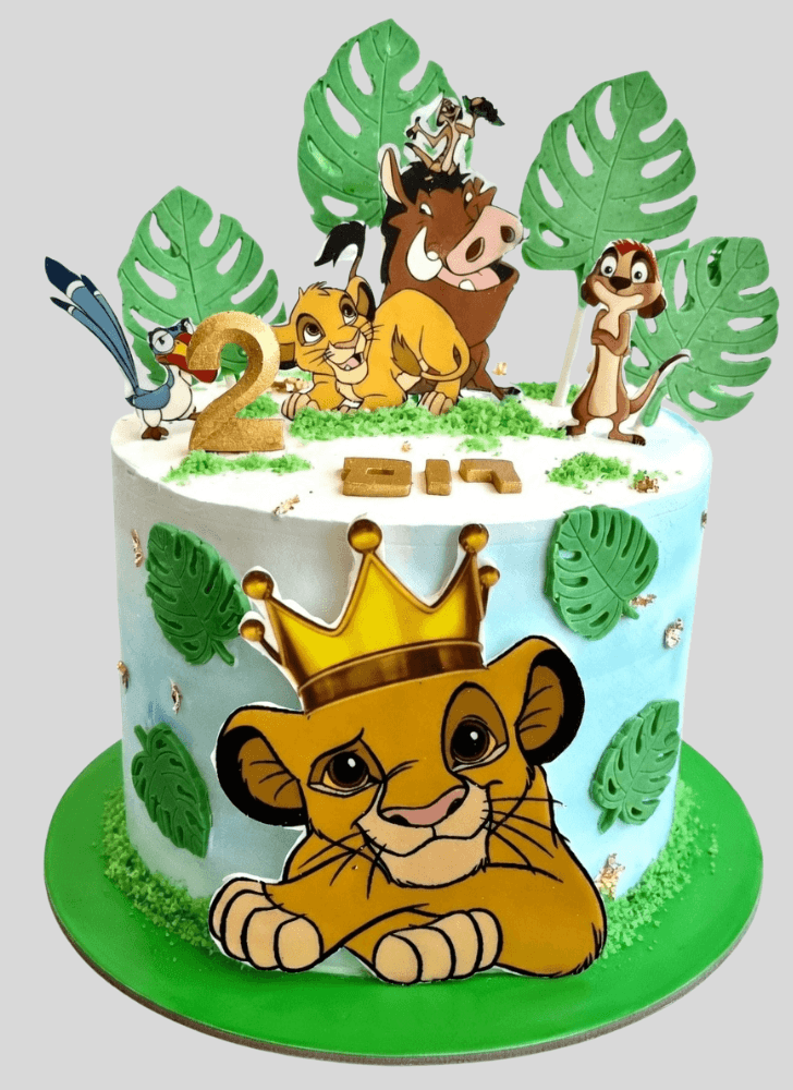 Magnetic Simba Cake