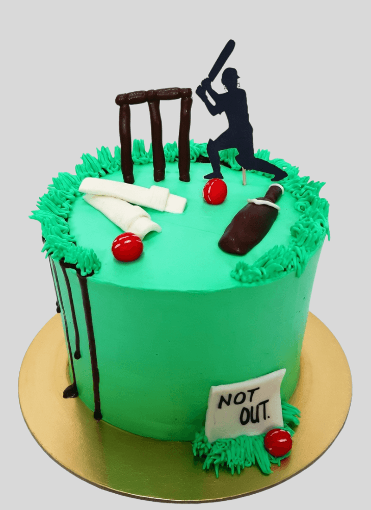 Alluring IPL Cake