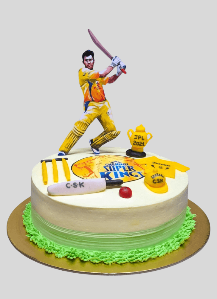 Comely IPL Cake