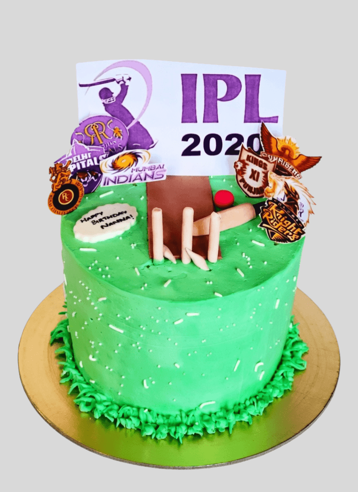 Delightful IPL Cake