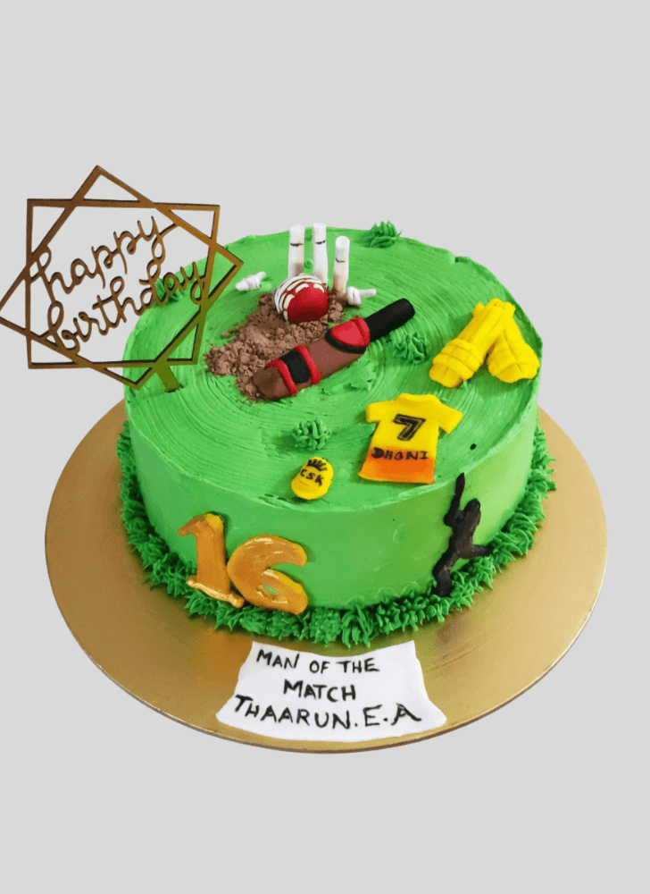 Magnificent IPL Cake