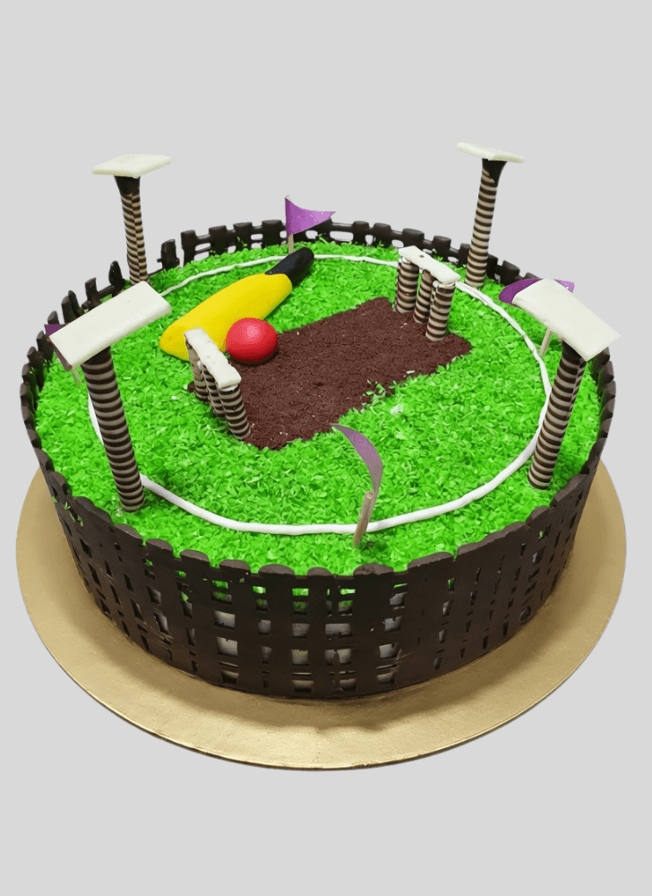 Wonderful IPL Cake Design