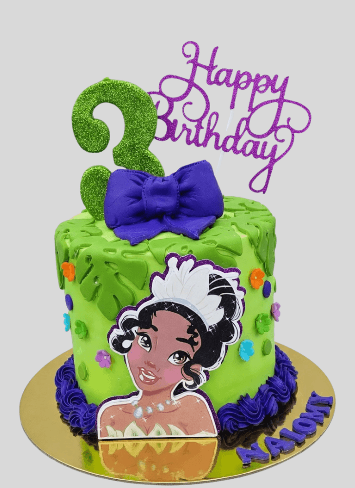 Magnetic Tiana Cake